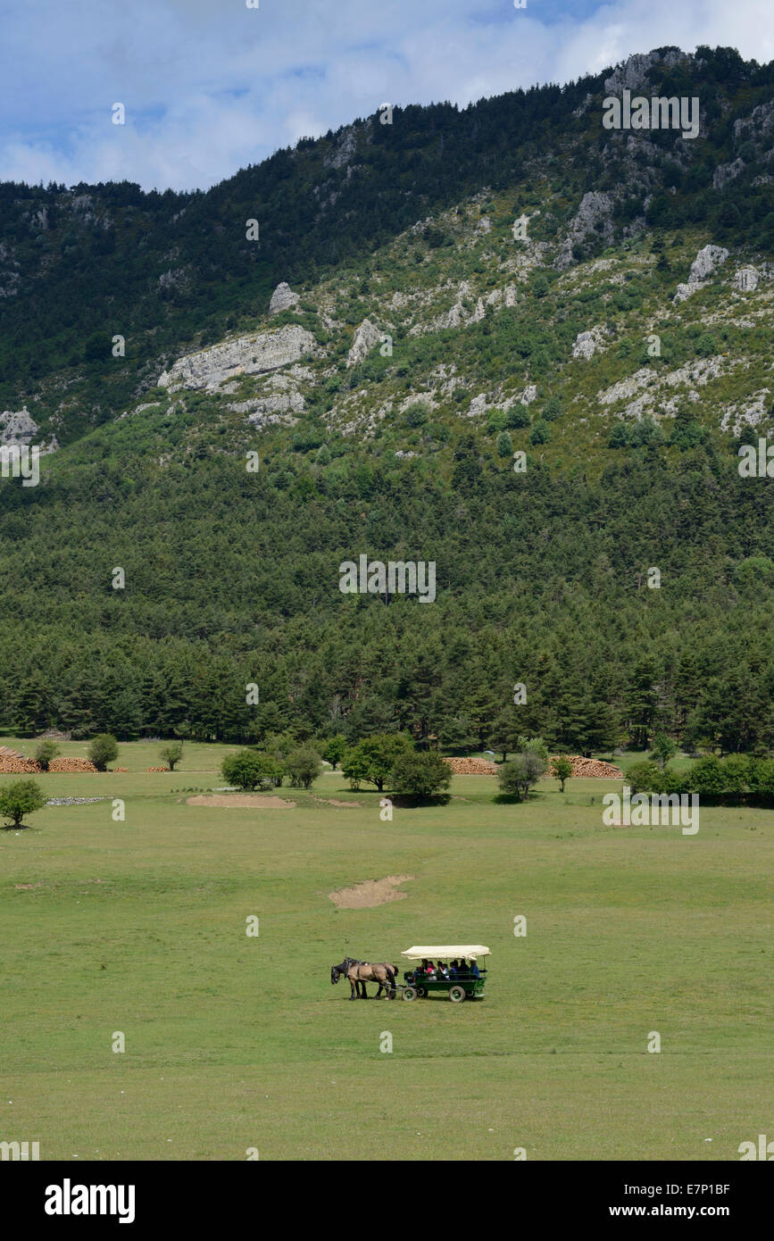 Europa, Frankreich, Provence-Alpes-Côte d ' Azur, reservieren des Monts d ' Azur, Wagen, Pferdekutsche, Naturschutzgebiet Stockfoto