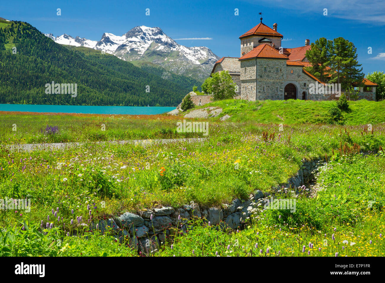 Engadin, Engadin, Schloss, Surlej, Silvaplanersee, Engadin, Engadin, Kanton Graubünden, Graubünden, GR, Oberengadin, Berg Stockfoto