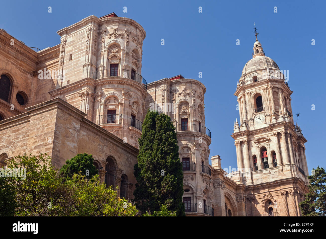 Malaga Kathedrale Malaga Andalusien Spanien Stockfoto