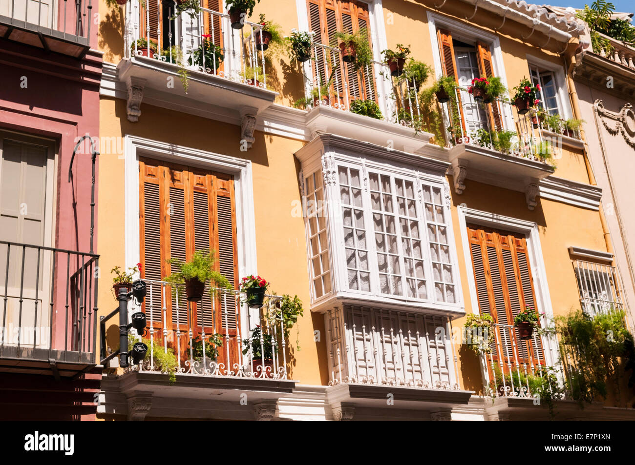 Fenster und Balkone Malaga Andalusien Spanien Stockfoto