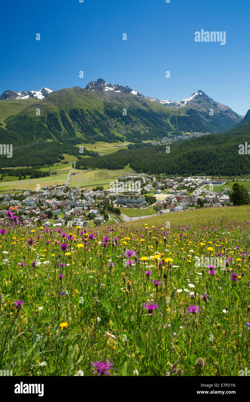 Engadin, Engadin, Celerina, GR, Kanton Graubünden, Graubünden, Oberengadin, Sommer, Dorf, Blume, Blumen, der Schweiz, Eur Stockfoto