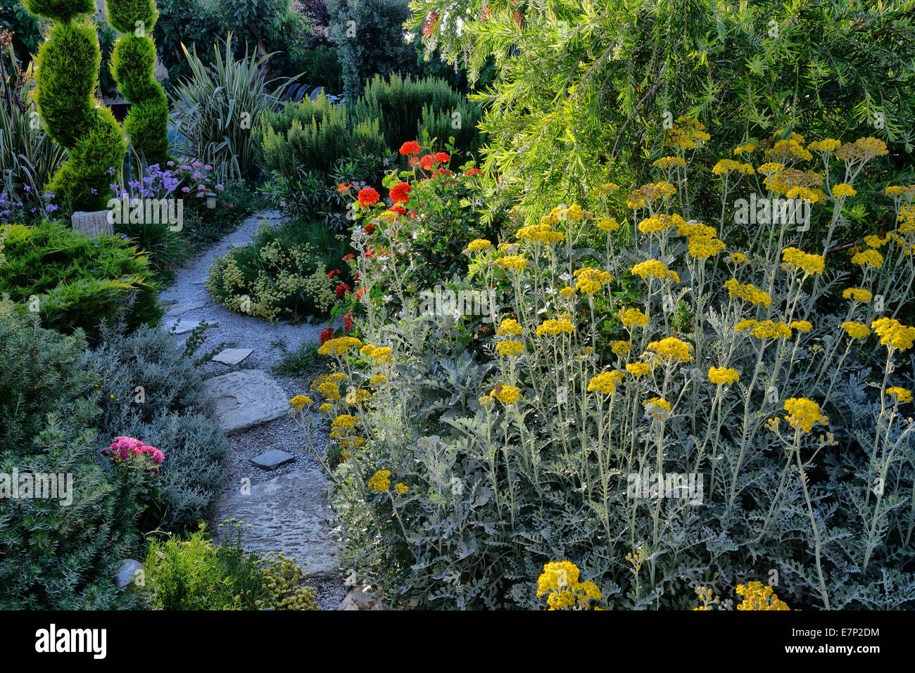 Griechische Pflanzen Stockfotos und -bilder Kaufen - Alamy