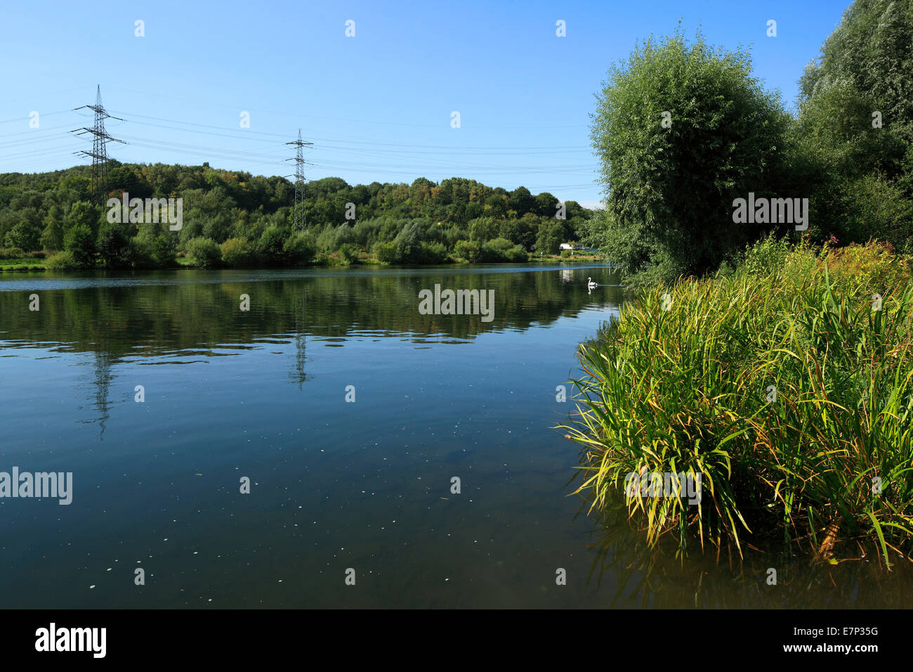 Deutschland, Europa, Bochum, Ruhrgebiet, Westfalen, Nordrhein-Westfalen, Deutschland, Europa, Bochum-Dahlhausen, Dahlhausener Ruhraue Stockfoto