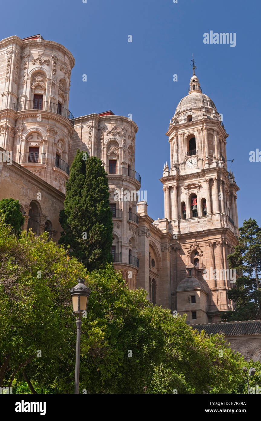 Malaga Kathedrale Malaga Andalusien Spanien Stockfoto