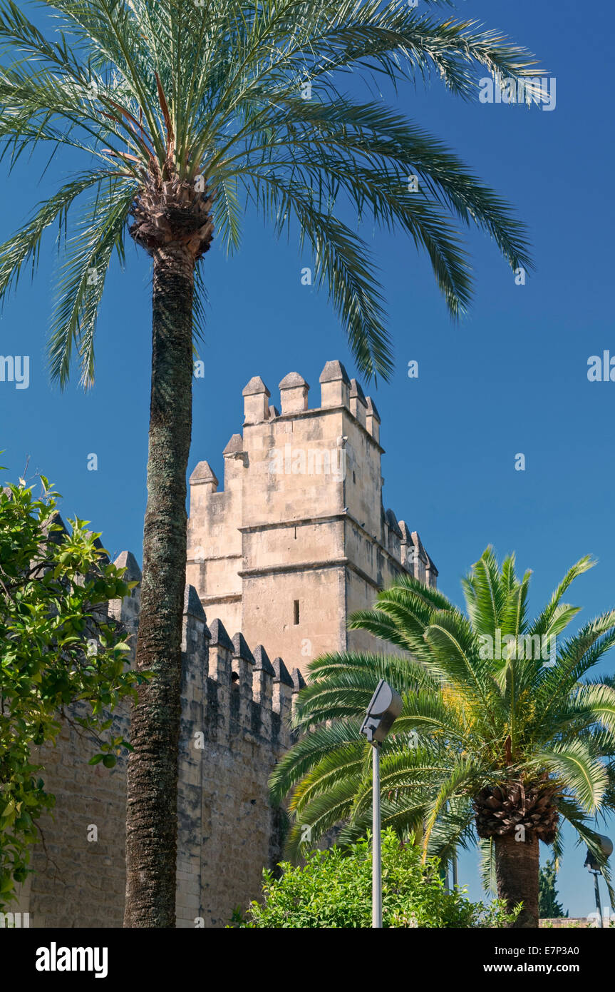 Das Alcazar Cordoba Andalusien Spanien Stockfoto