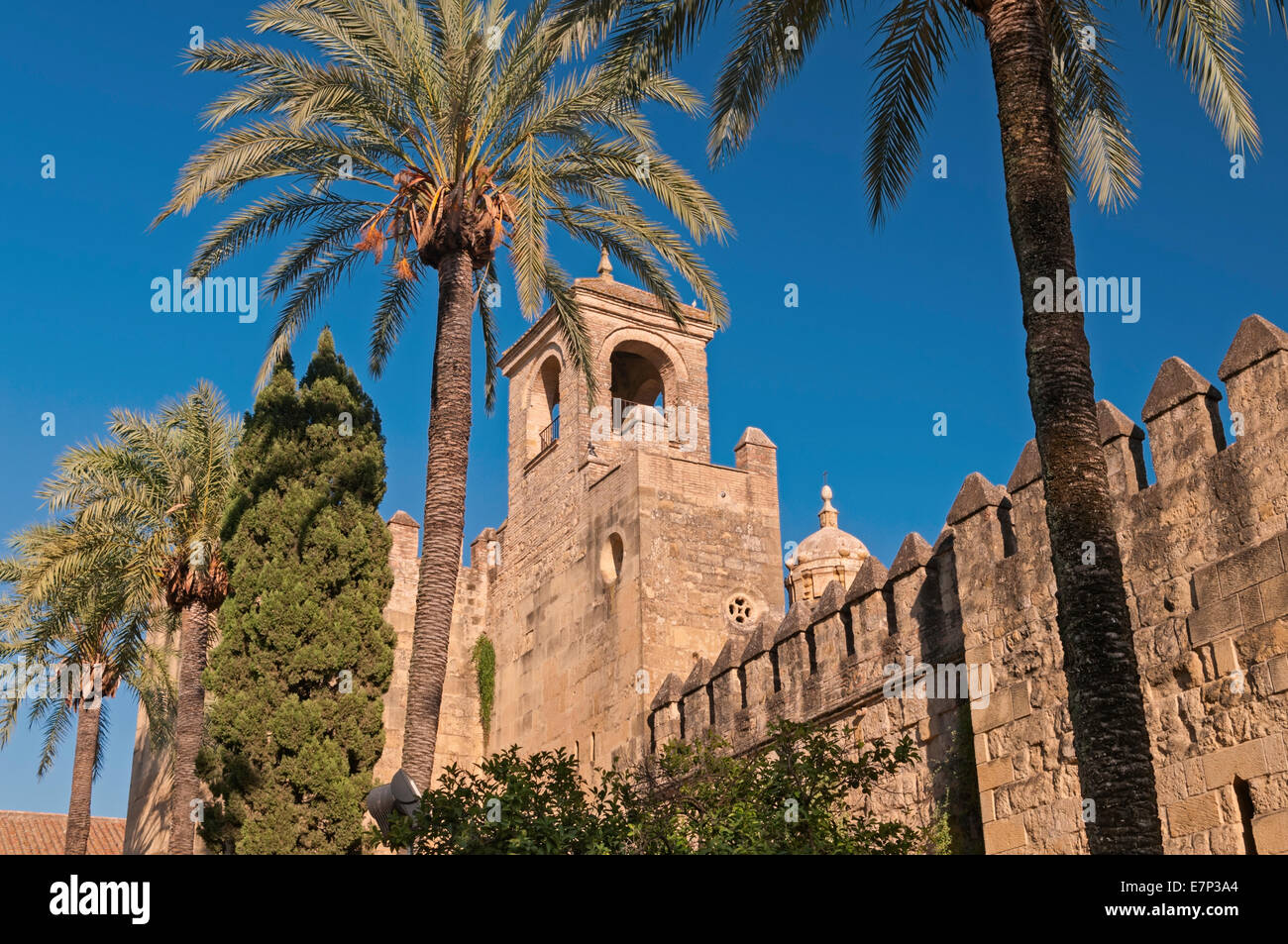 Das Alcazar Cordoba Andalusien Spanien Stockfoto