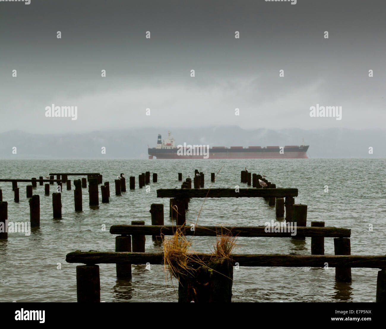 Holzpfähle ragen aus dem Columbia River, während ein Containerschiff im Hintergrund vergeht. Stockfoto