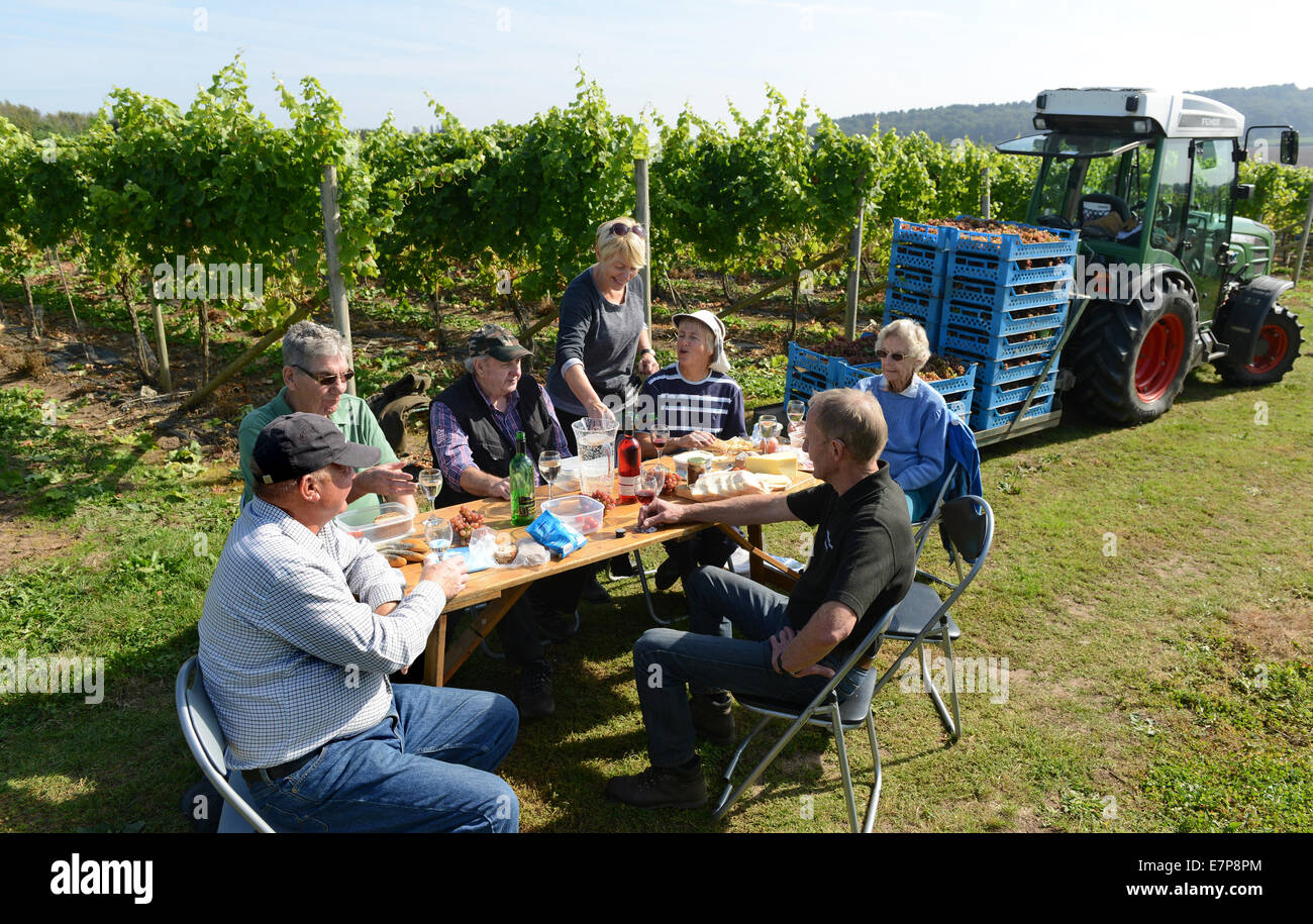 Weinlese freiwillige Picker nehmen Sie das Mittagessen im Freien auf Halfpenny Green Weinberg, Staffordshire, Großbritannien Stockfoto Weinlese freiwillige Picker nehmen Sie das Mittagessen im Freien auf Halfpenny Green Weinberg, Staffordshire, Großbritannien Stockfoto