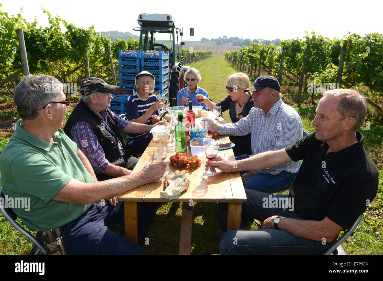 Weinlese freiwillige Picker nehmen Sie das Mittagessen im Freien auf Halfpenny Green Weinberg, Staffordshire, Großbritannien Stockfoto Weinlese freiwillige Picker nehmen Sie das Mittagessen im Freien auf Halfpenny Green Weinberg, Staffordshire, Großbritannien Stockfoto