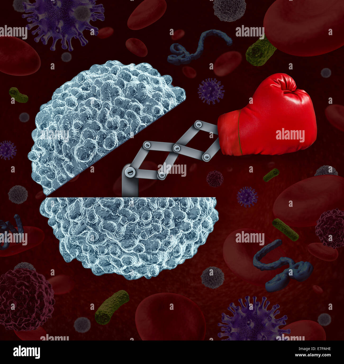 Immunsystem-Konzept als eine offene weiße Blutkörperchen mit Boxhandschuh auftauchen als eine Gesundheitsversorgung Metapher für den Kampf gegen Krankheiten und Infektionen durch die natürliche Verteidigung des menschlichen Körpers. Stockfoto