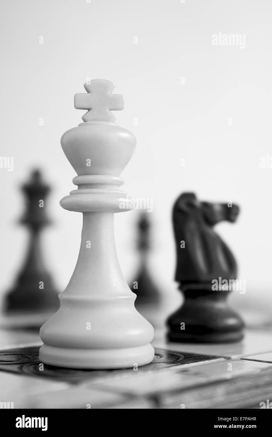 Schach auf einem Schachbrett Stockfoto