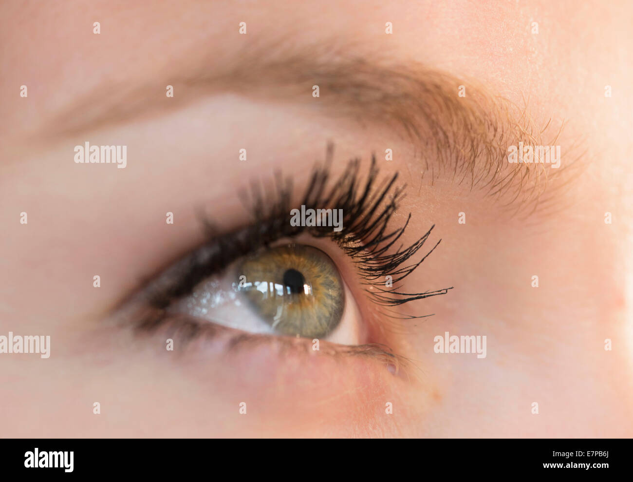 Nahaufnahme des Weibes Auge Stockfoto