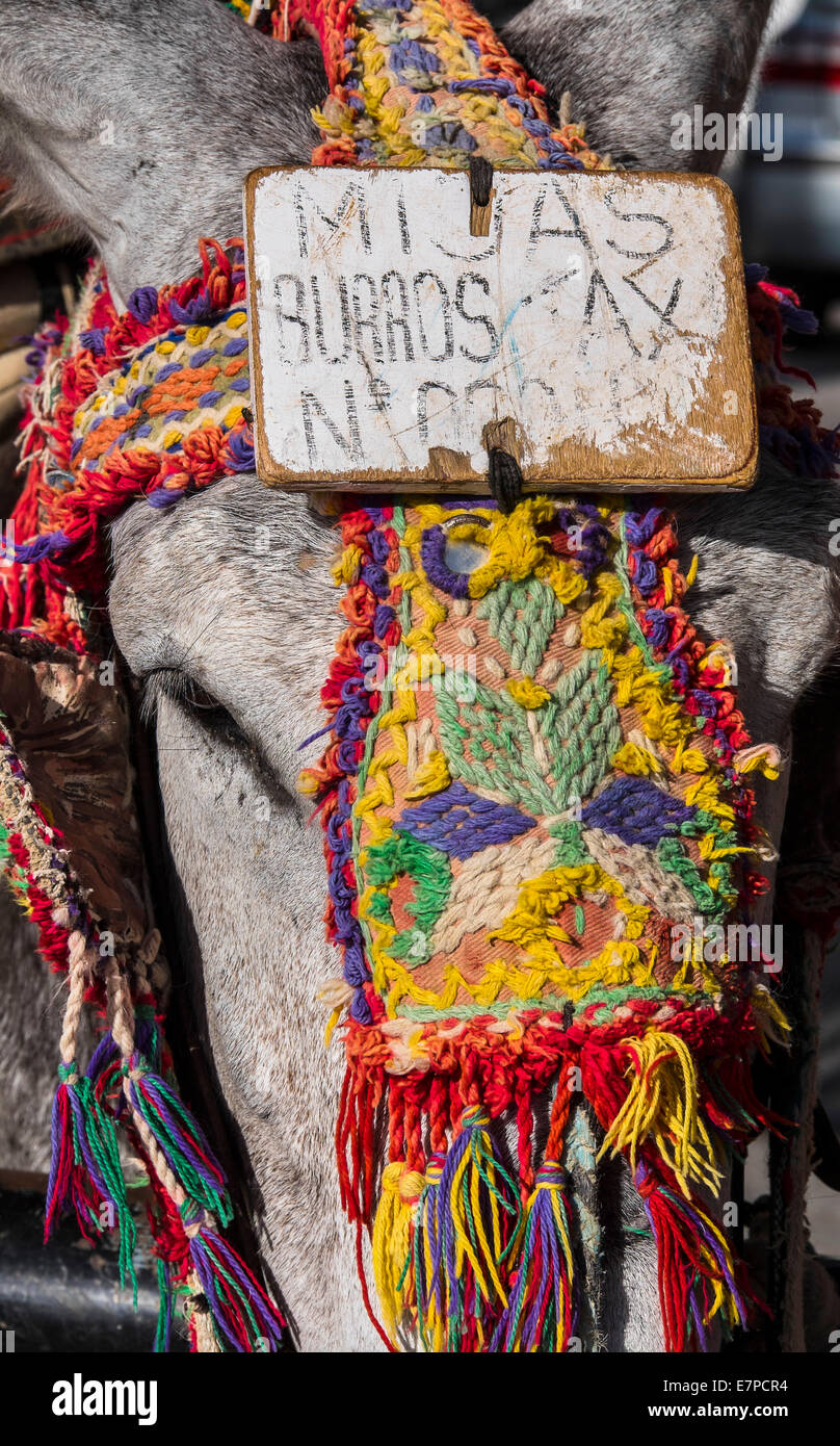 Spanien, Mijas, Nahaufnahme von bunten Gurt auf Eseln Kopf Stockfoto