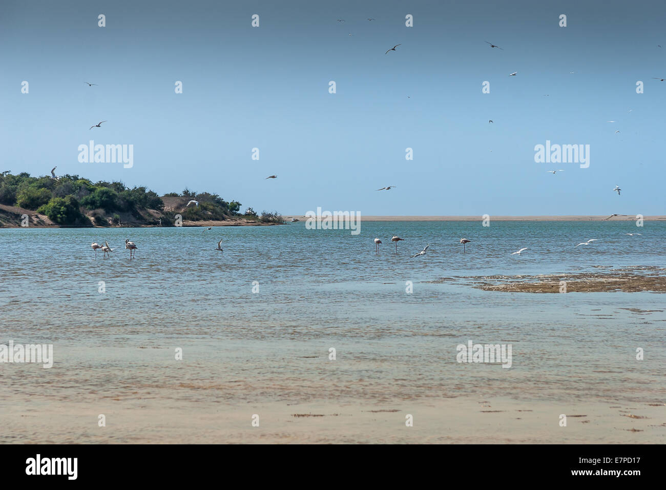 Souss-Masa-Nationalpark Stockfoto