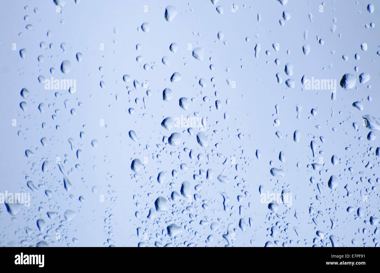 Wassertropfen auf Glas Stockfoto