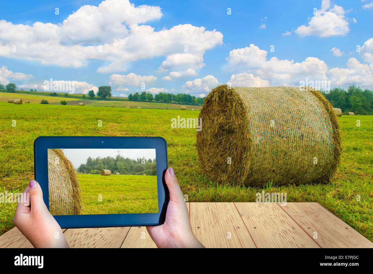 Tablet auf dem Heu, schwarz Stockfoto