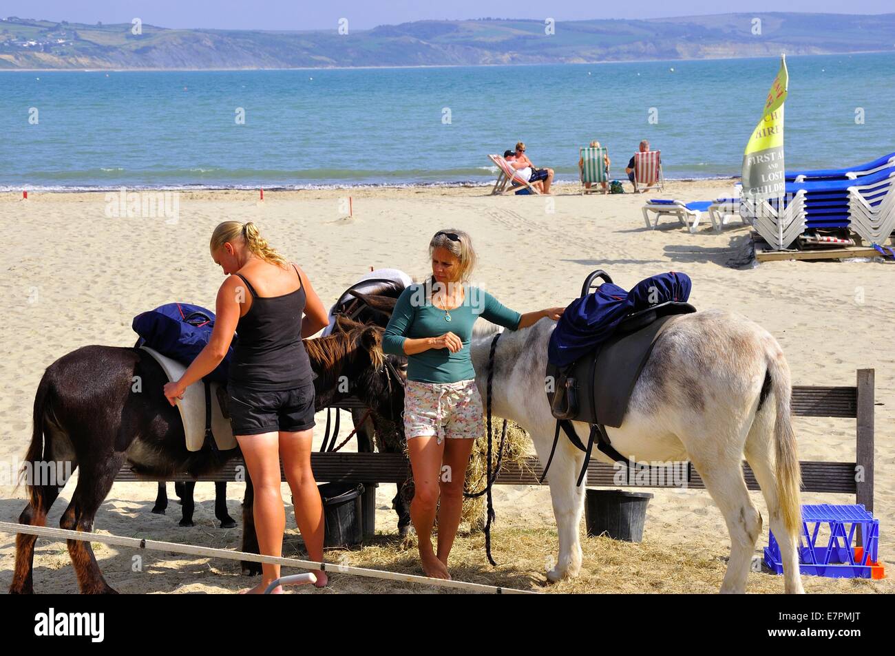 Esel am Strand von Weymouth Bucht, Dorset Stockfoto