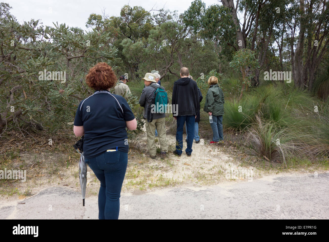Bush Wanderer in den australischen Busch Stockfoto