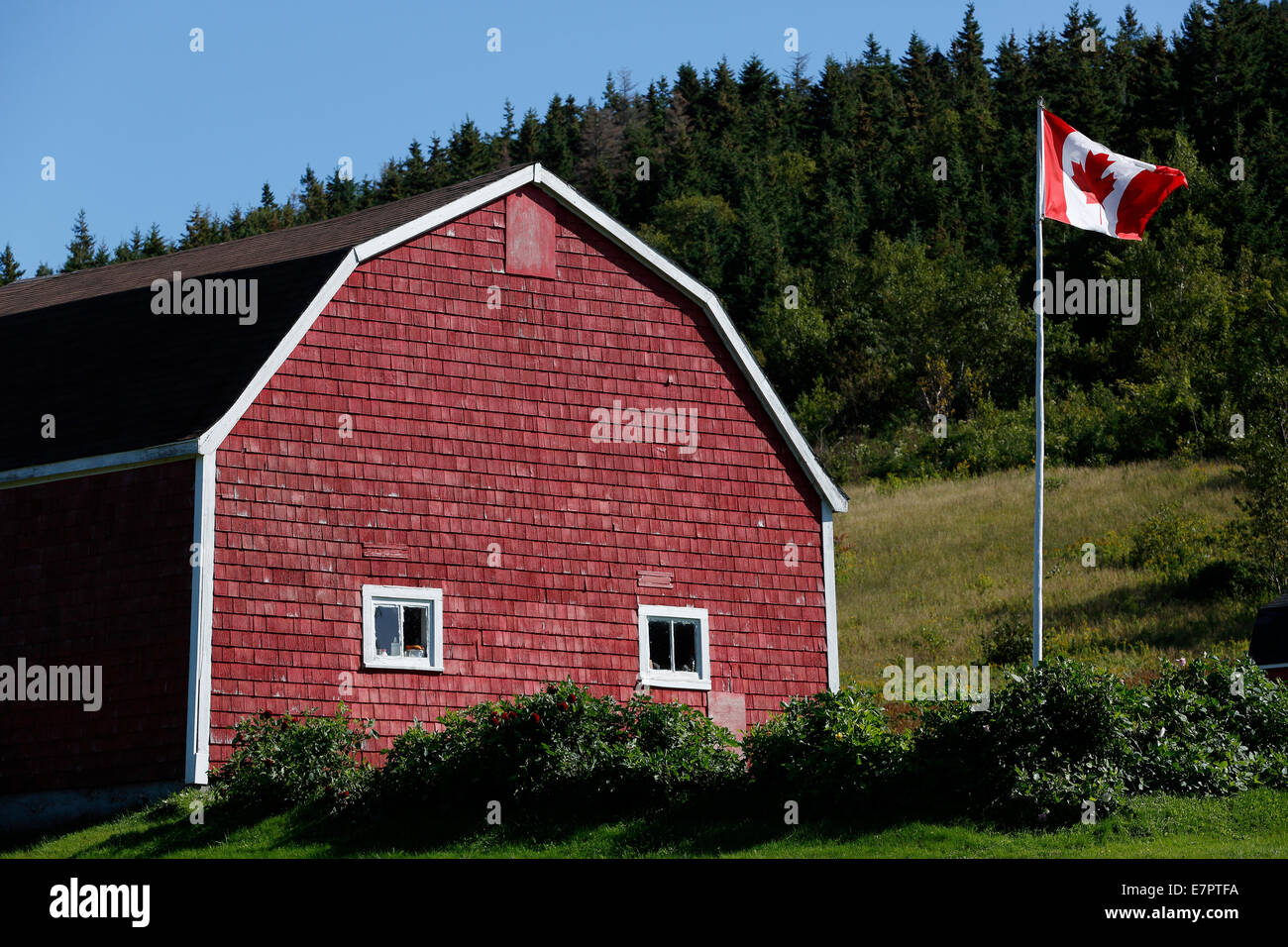 Rote Scheune, kanadische Flagge, Cape Breton Island, Nova Scotia, Kanada Stockfoto