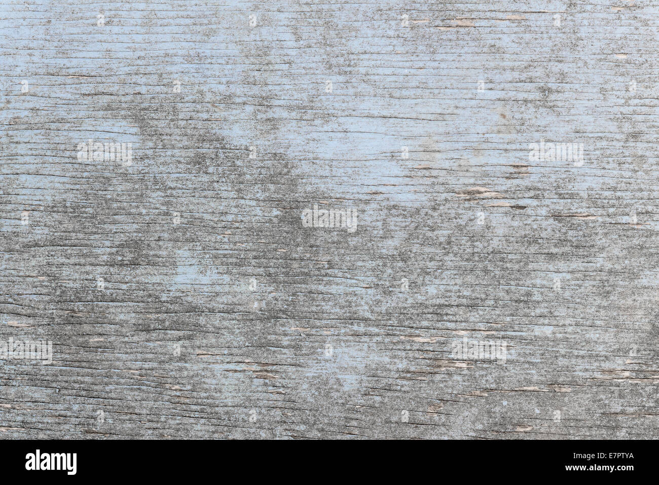 Im Alter von hölzernen Hintergrund verwitterten distressed rustikal Holz mit verblassten leichte blaue Farbe zeigt Woodgrain Struktur Stockfoto