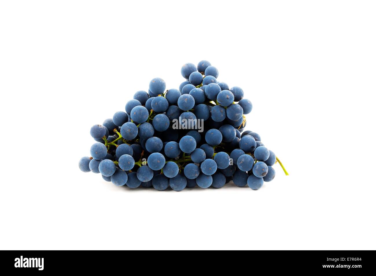 Frischen Weintrauben Stockfoto