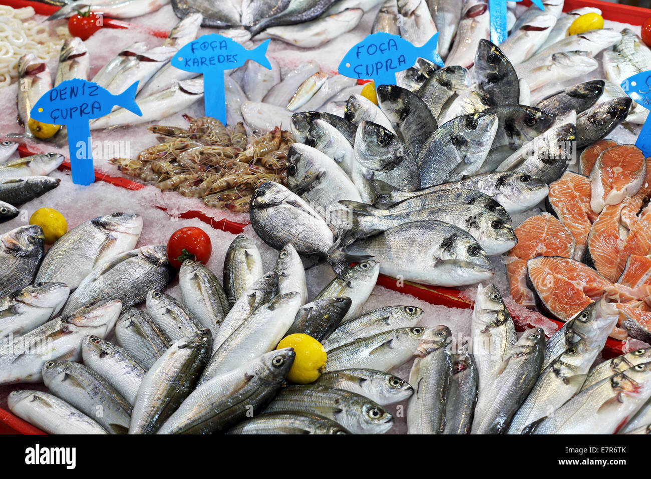 Ein Array von frischem Fisch zum Verkauf Stockfoto