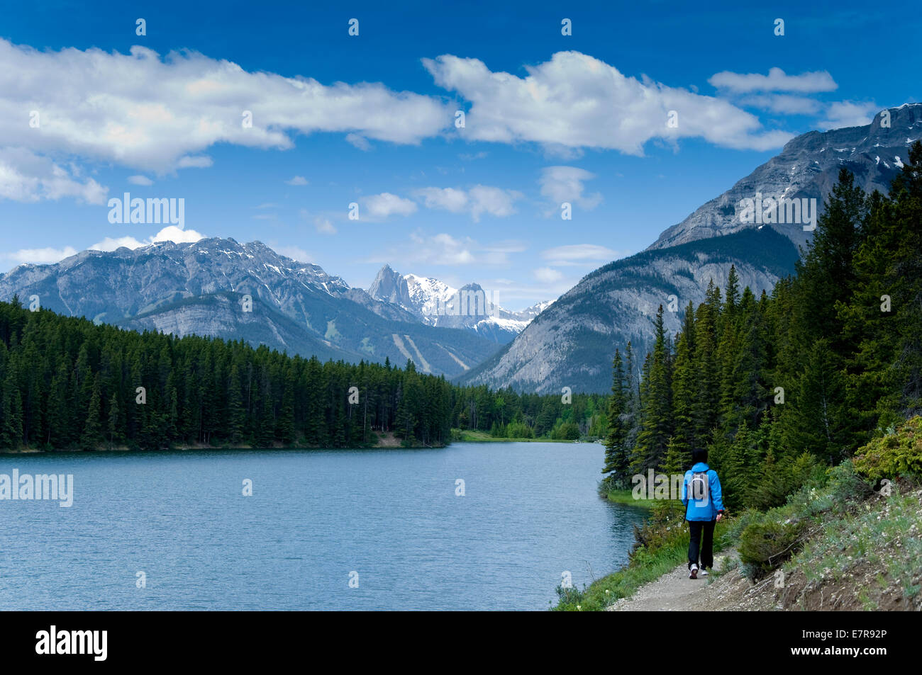 Trail zu Fuß Johnson Lake, Banff, Alberta, Kanada Stockfoto