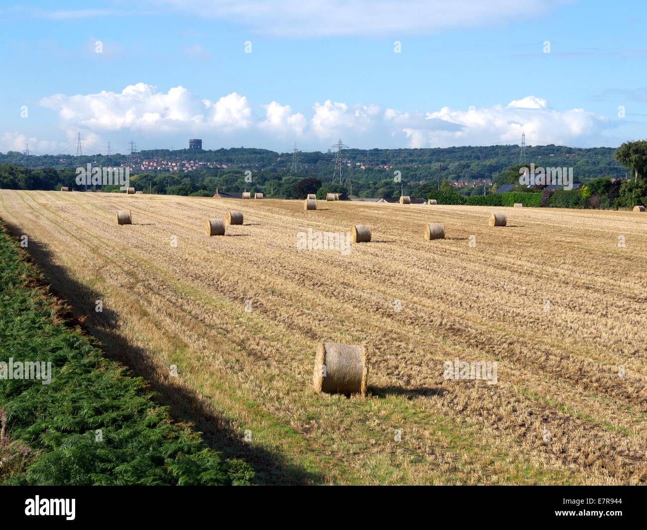 Rollen von Heu in einem Bauern-Feld mit einem Wasserturm im Hintergrund Stockfoto