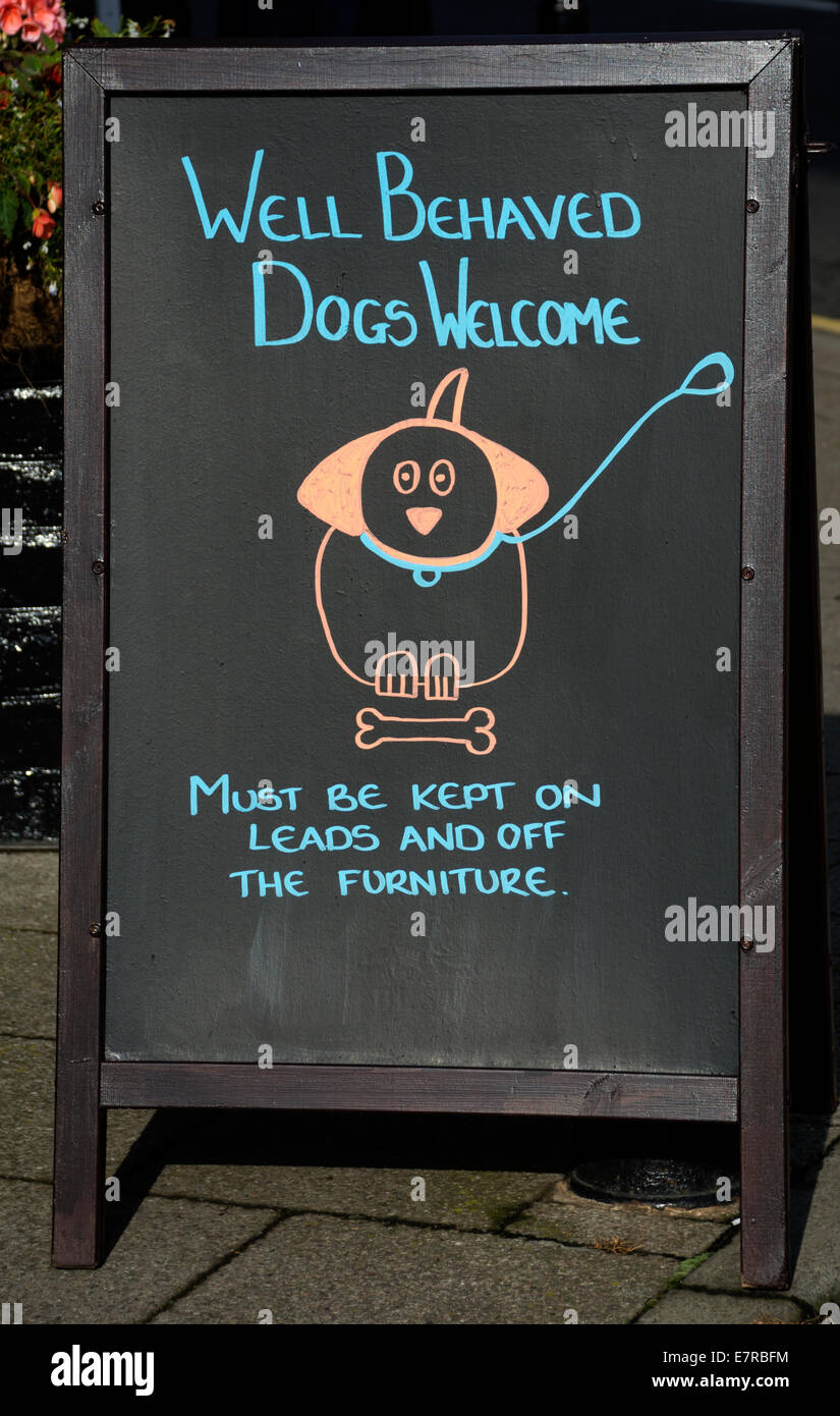 Dieses Schild begrüßt Hunde in der Bar, aber bittet Besitzer verantwortlich zu sein. Stockfoto
