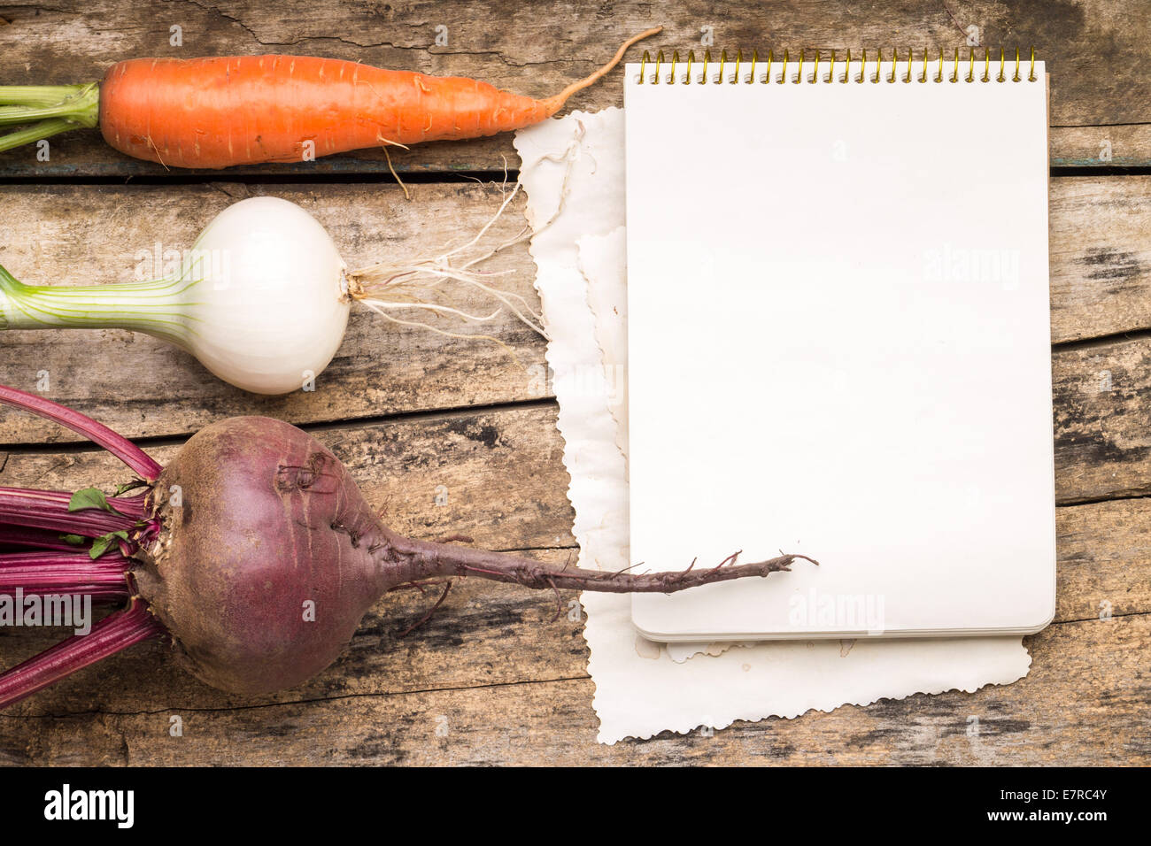 Leere Rezeptkarte auf hölzernen rustikalen Hintergrund mit frischem Gemüse. Kochbuch mit Wurzeln. Stockfoto