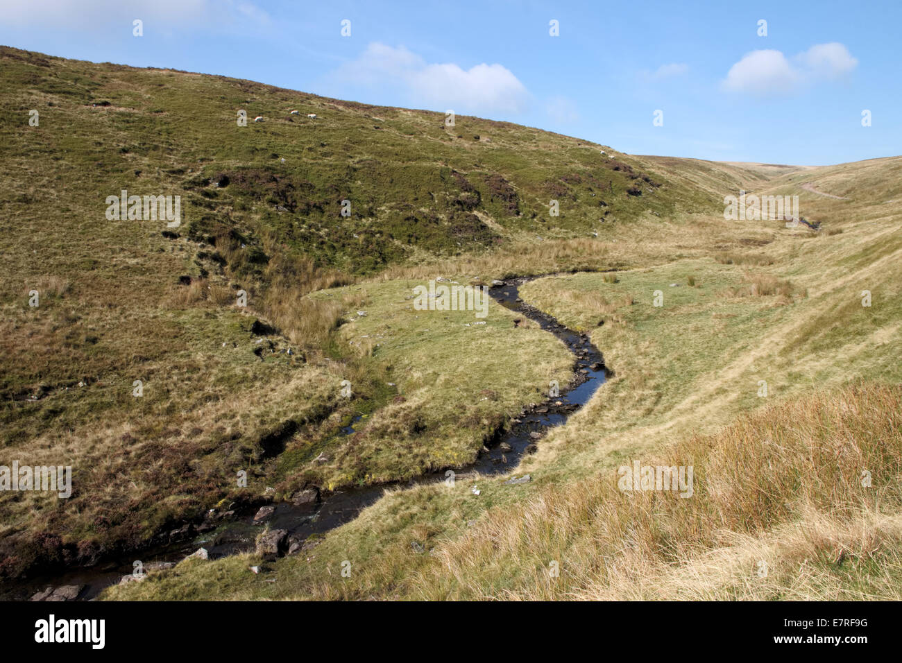 Grwyne Fawr Reservoir Brecon Beacons Sommertrockenheit 2014 Stockfoto