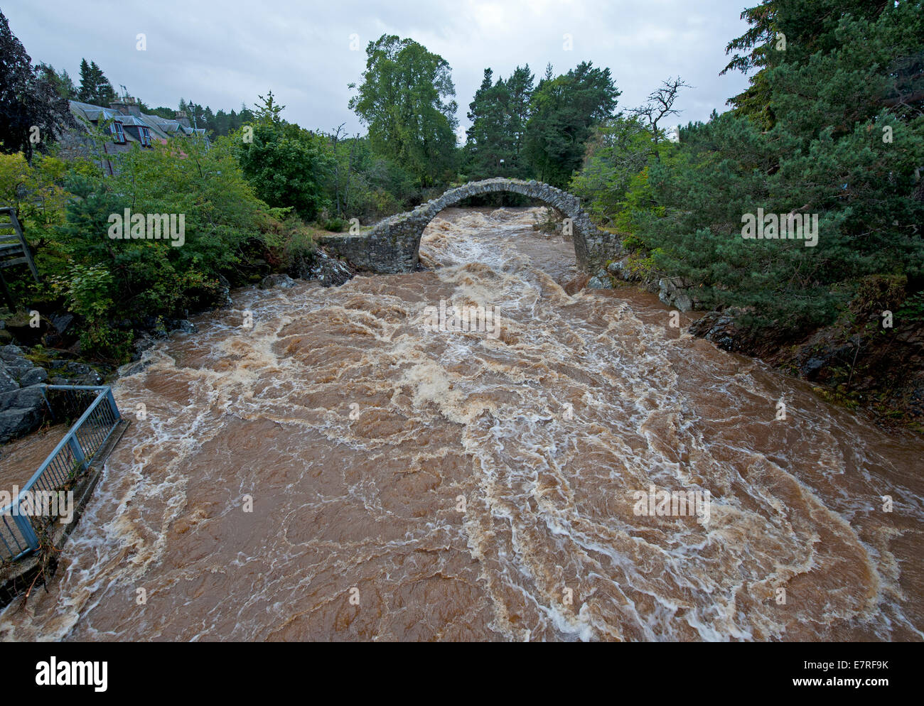 Der Fluss Dulnain in Carrbridge Inverness-Shire in schwere Hochwasser. 9112 Stockfoto