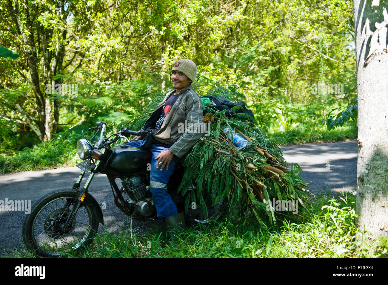 Asiatische Bauern und seinen Baum lädt auf der Rückseite sein Motorrad in Ost-Java, Indonesien Stockfoto