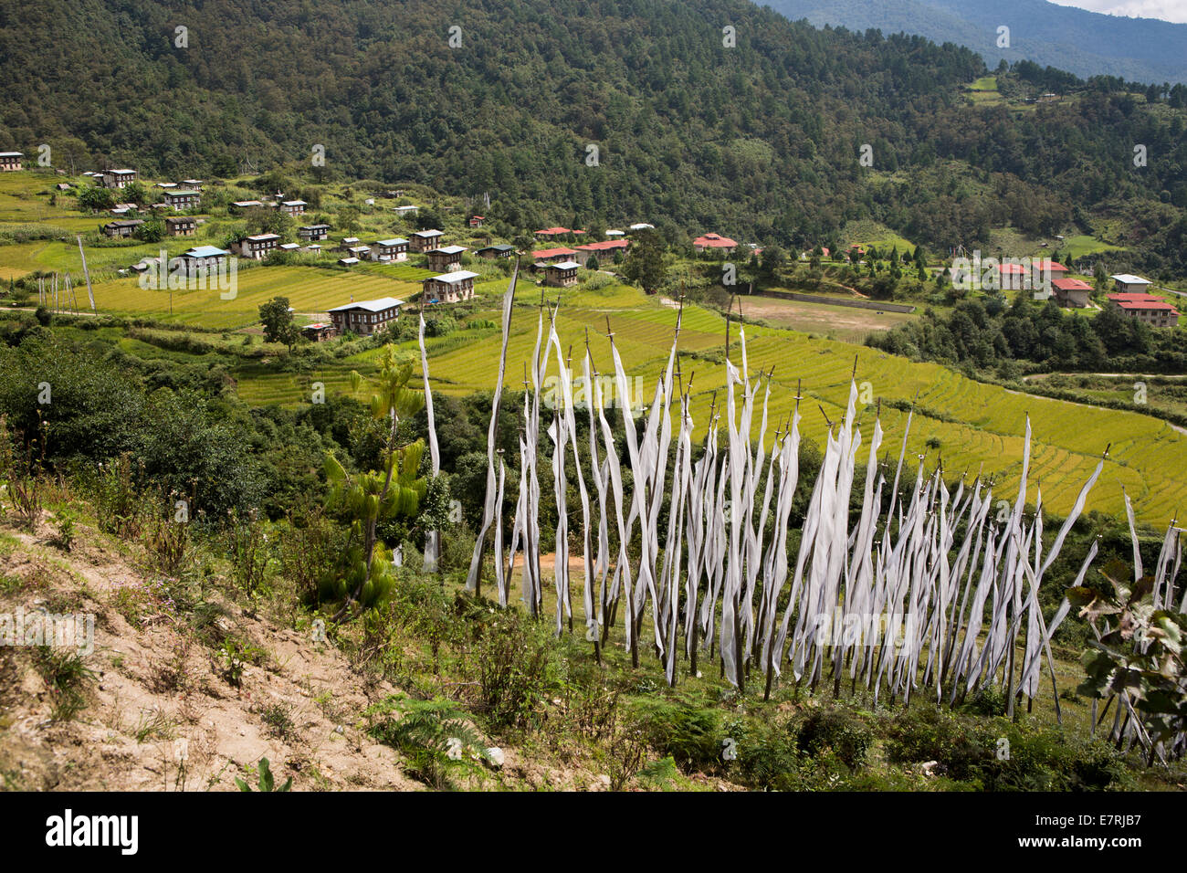 Ost Bhutan, Trashi Yangtse, buddhistische Gebetsfahnen im Feld hoch über Trashiyangtse Stadt Stockfoto