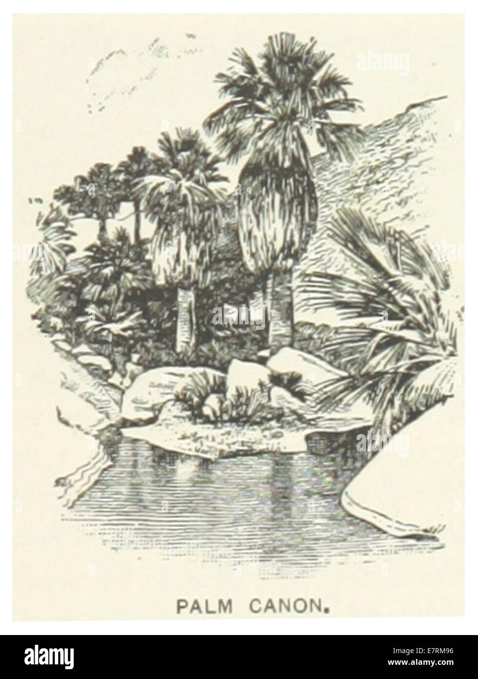 Auf Seite 85 der US-amerikanischen Zeitschrift 1891 wird „Palm Canon“ gezeigt, eine Illustration, die einen malerischen, palmengefüllten Canyon in Kalifornien darstellt und die natürlichen Landschaften des Bundesstaates widerspiegelt. Stockfoto