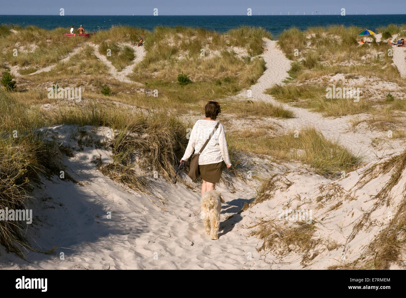 Weg durch die Dünen zum Strand, Prerow, Mecklenburg-Western Pomerania, Deutschland. Stockfoto