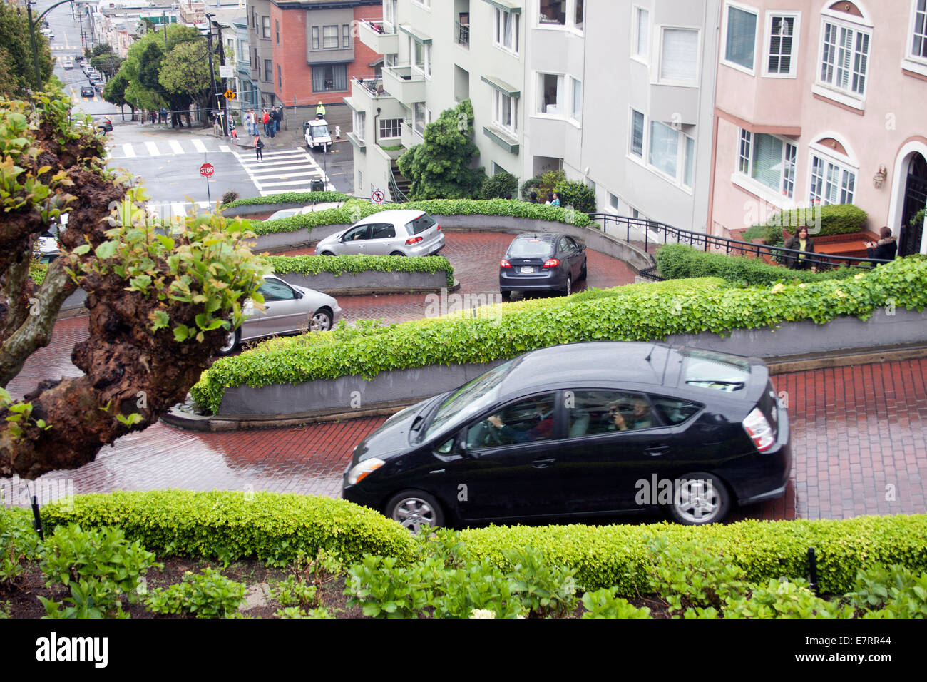 Die Lombard Street in San Francisco, bekannt als die krummste Straße der Welt, bietet scharfe Kurven, steile Hügel und farbenfrohe Landschaftsgestaltung. Stockfoto