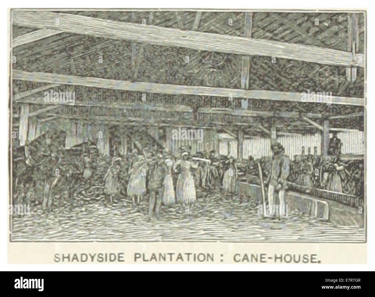 Eine Illustration aus Louisiana aus dem Jahr 1891, die das Shadyside Plantation Cane House zeigt, ein Teil der landwirtschaftlichen Geschichte und des Plantagenlebens im späten 19. Jahrhundert. Stockfoto