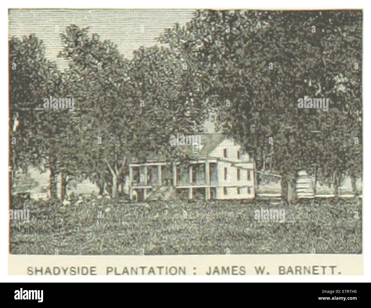 Diese Zeichnung aus dem Jahr 1891 zeigt die Shadyside Plantation in Louisiana, der Heimat von James W. Barnett. Die Illustration zeigt die Grundrisse der Plantage und betont den landwirtschaftlichen Charakter und die Architektur des Anwesens. Stockfoto