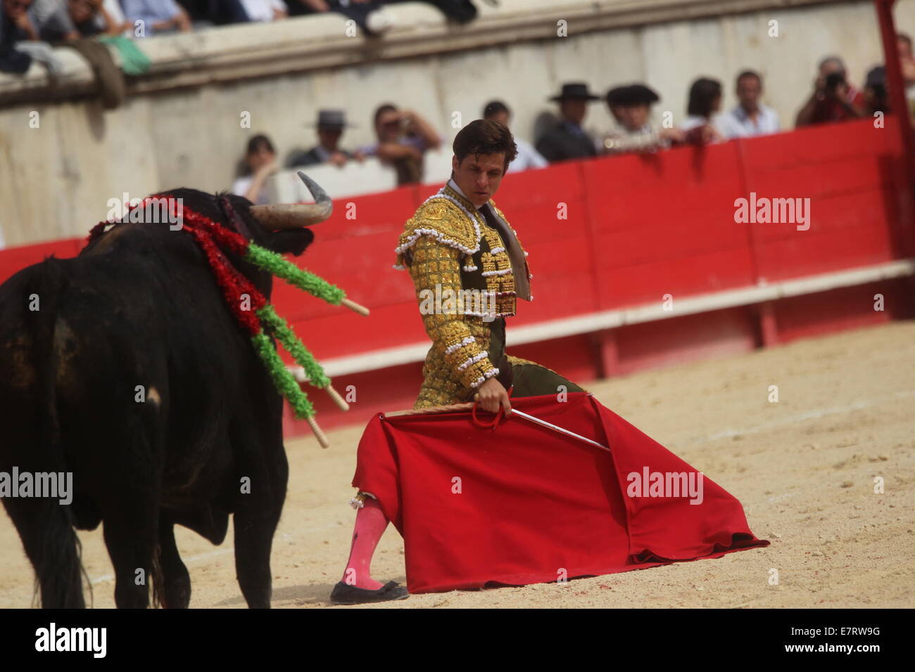 Nimes, Frankreich. 20. Sep, 2014. Der Stierkampf auf der Feria des Vendanges-Festival. Mehreren Mischstil des Stierkampfes auf dem Festival. GRANEDERIA SANCHEZ Y SANCHEZ, PABLO HERMOSO DE MENDOZA © Aktion Plus Sport/Alamy Live-Nachrichten Stockfoto