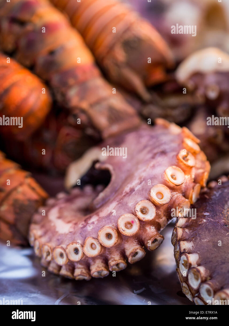 Oktopus und andere Meeresfrüchte auf einen Wochenmarkt auf Sansibar verkauft. Stockfoto Oktopus und andere Meeresfrüchte auf einen Wochenmarkt auf Sansibar verkauft. Stockfoto