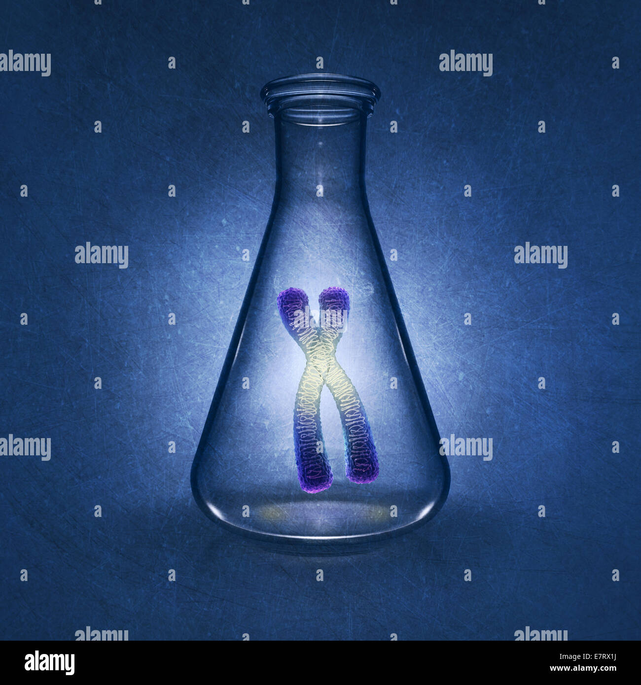 Menschlichen Chromosoms in Labor Kolben auf blauem Hintergrund, detaillierte Darstellung Stockfoto