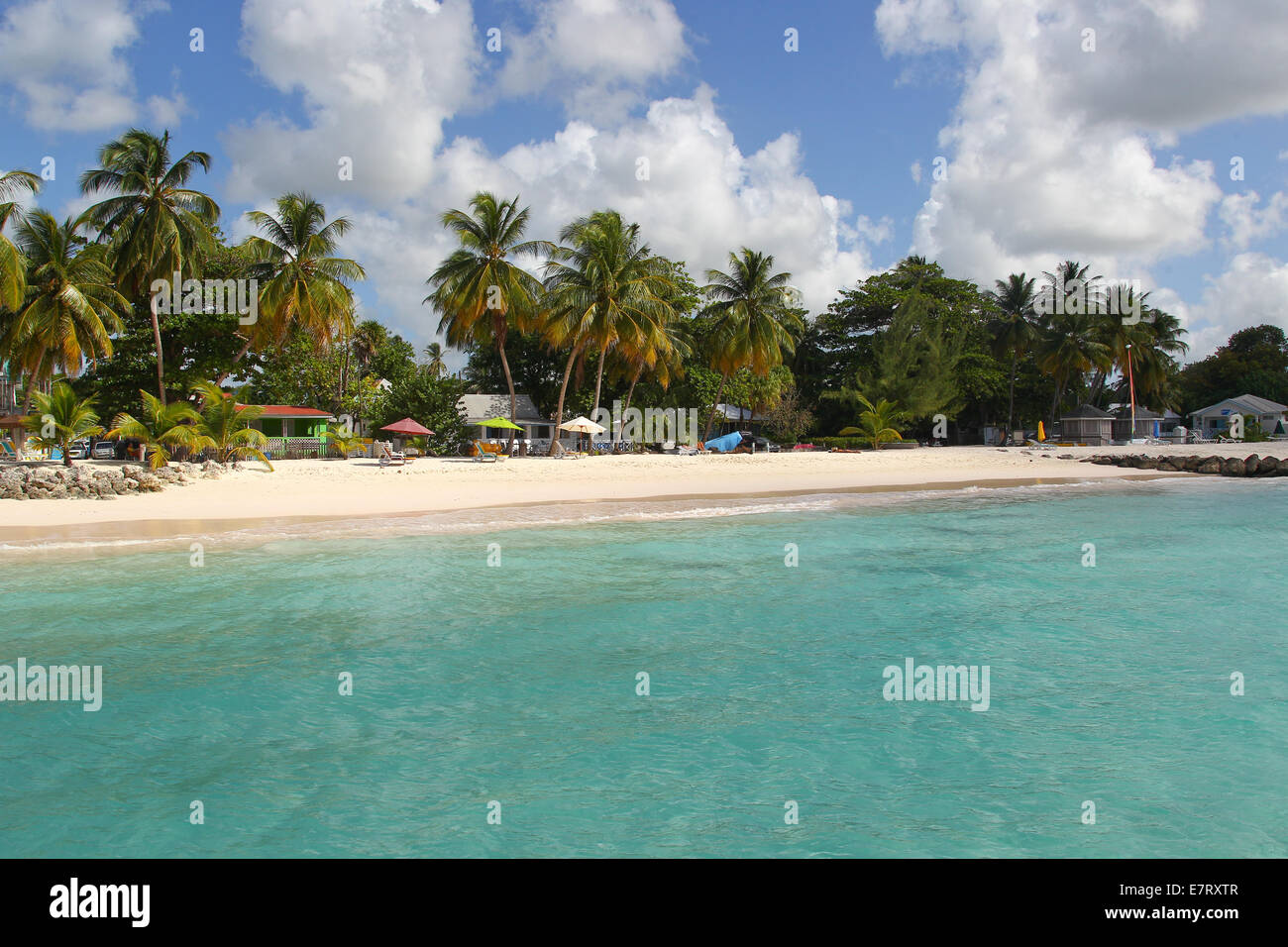 Karibik-Strand, Palmen, blauer Himmel, Stockfoto