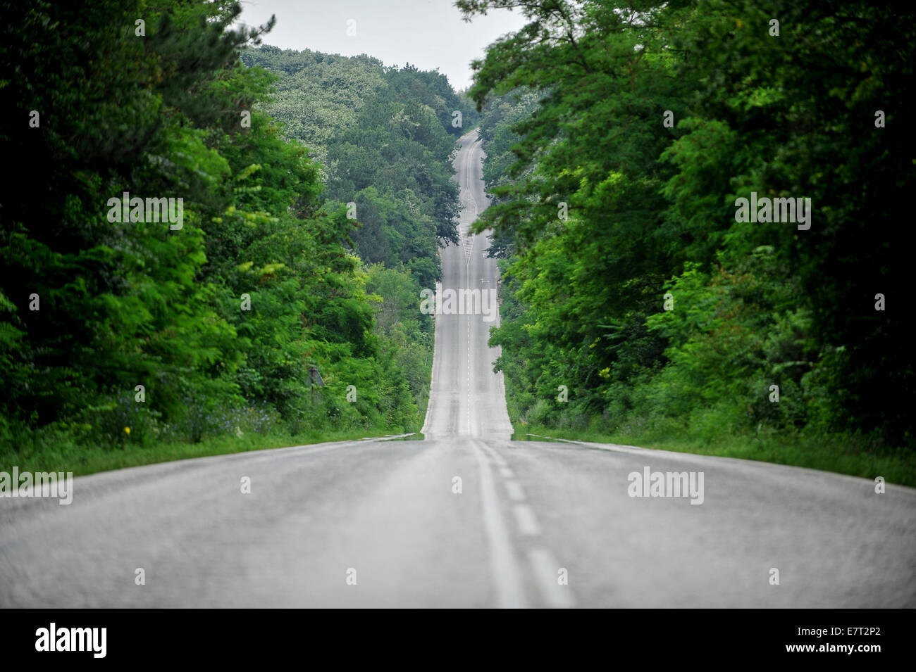 Lange und kurvenreiche leere Straße durch den Wald Stockfoto