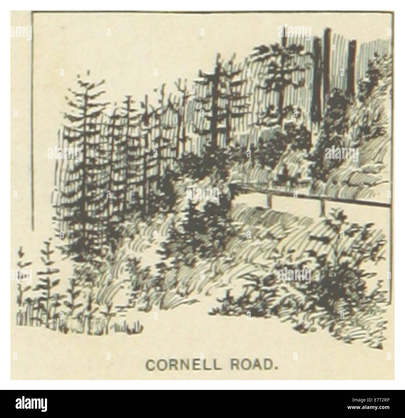 Seite 704 aus US-OR's Werk von 1891, das die Cornell Road in Oregon darstellt. Die Illustration zeigt einen Teil dieser malerischen Straße und zeigt die ländliche Umgebung und die umliegende natürliche Landschaft. Stockfoto
