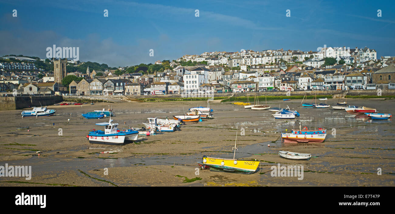 Riesige Basking Sharks Vor Der Küste Von Cornish Gefahr Für Schwimmerinnen Stockfoto