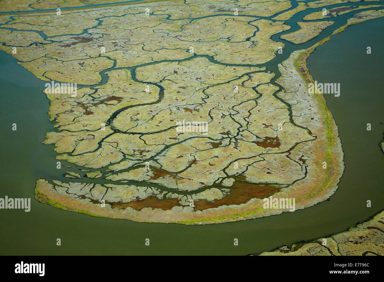 Westpoint Slough und Greco Insel Don Edwards San Francisco Bay National Wildlife Refuge, Redwood City, San Francisco, California Stockfoto