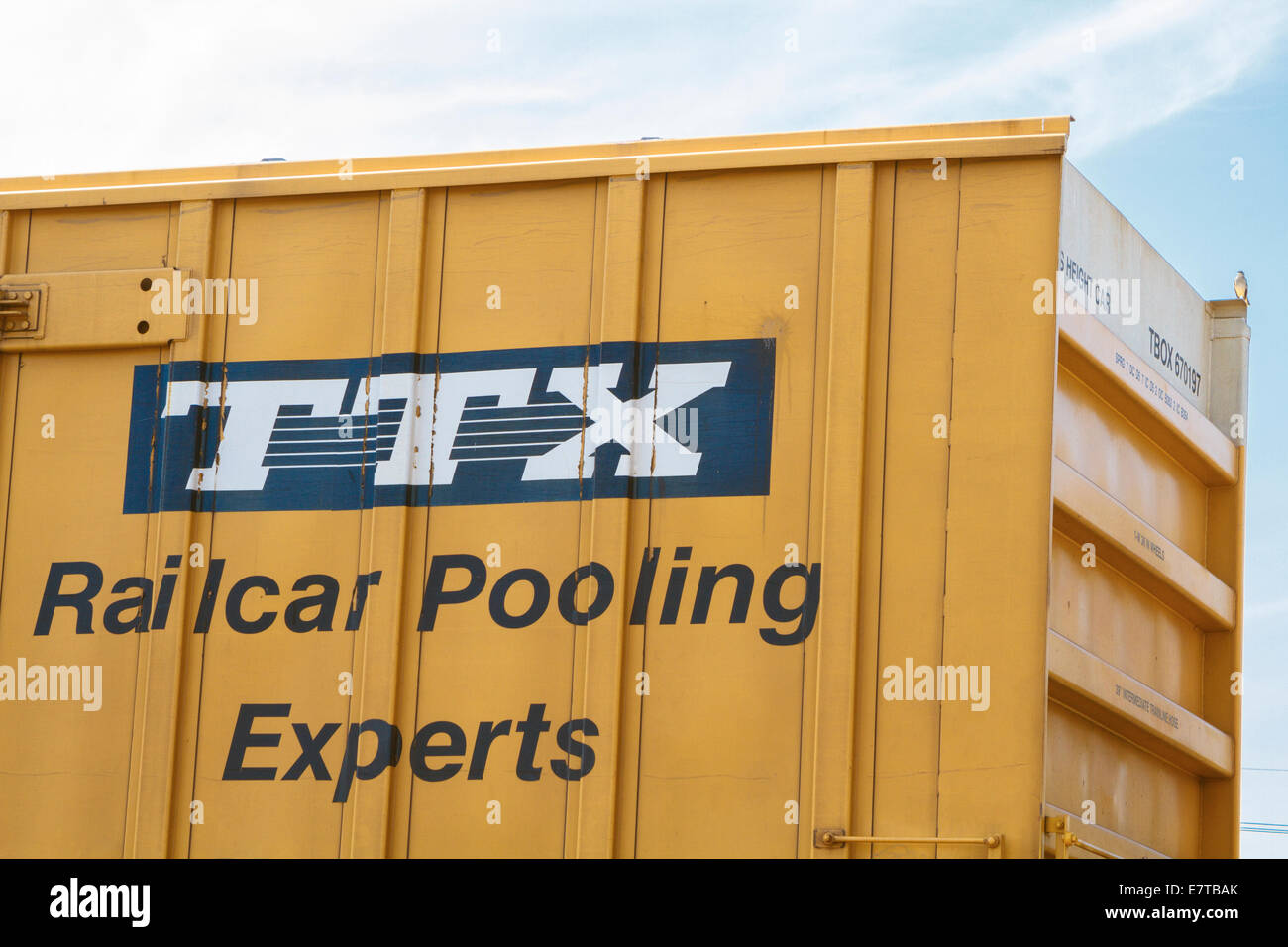 Eine Nahaufnahme von einem TTX branding Logo auf einem gelben Güterwagen in einem Bahn-Hof in der Nähe von Newberry, SC, USA. Stockfoto