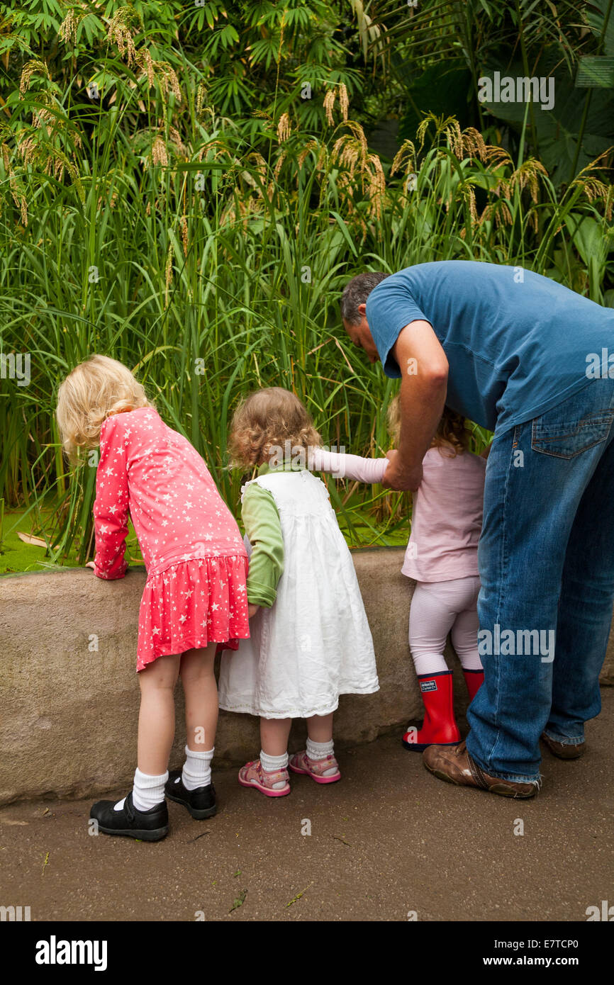 Vier 4 jährige Mädchen / Kind / & zwei 2-jährige Schwester Kind Kleinkind + Jungen studieren Teich mit Schilf / Gräser. Eden Project Biome UK Stockfoto
