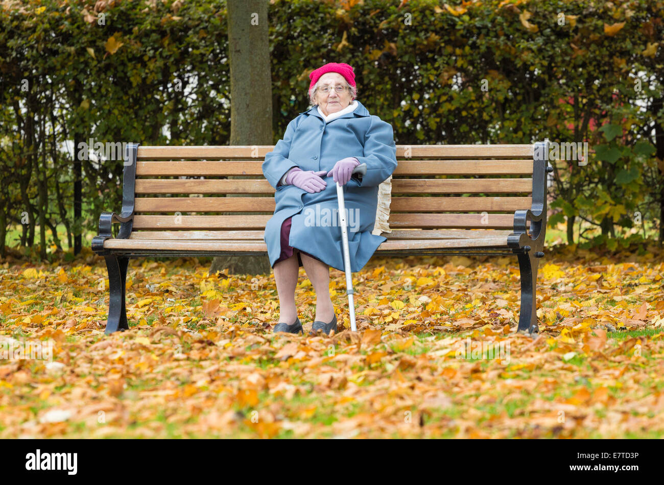 Neunzig Jahre alte Dame sitzt auf der Parkbank im Herbst in England. UK Stockfoto